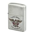 Photo1: Zippo Betty Boop 90th Anniversary LOVE HURTS Silver Barrel Plating Japan Limited Oil Lighter (1)